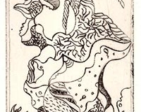 gravure, fine-semaille etching, drypoint, artiste vilma, site vilmagine.com